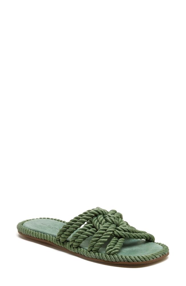 Kelsi Dagger Brooklyn Beachy Slide Sandal in Moss Cover