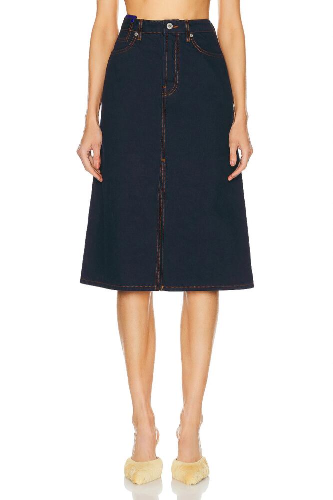 Burberry Midi Skirt in Blue Cover