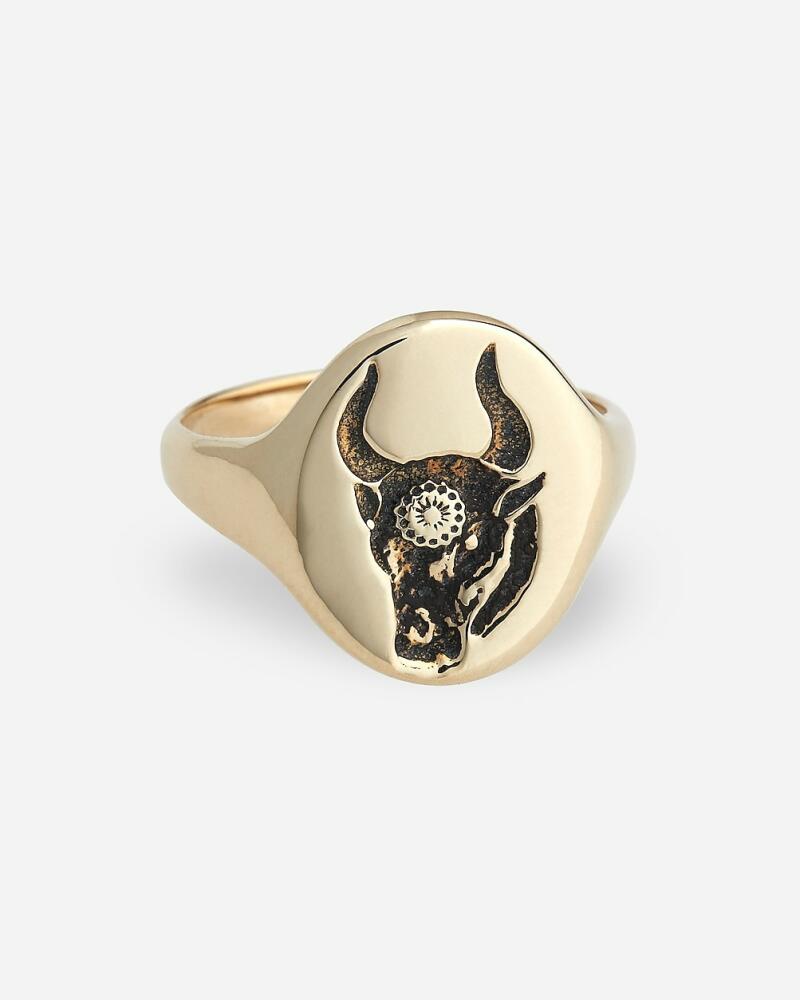 J.Crew TALON JEWELRY zodiac signet ring Cover