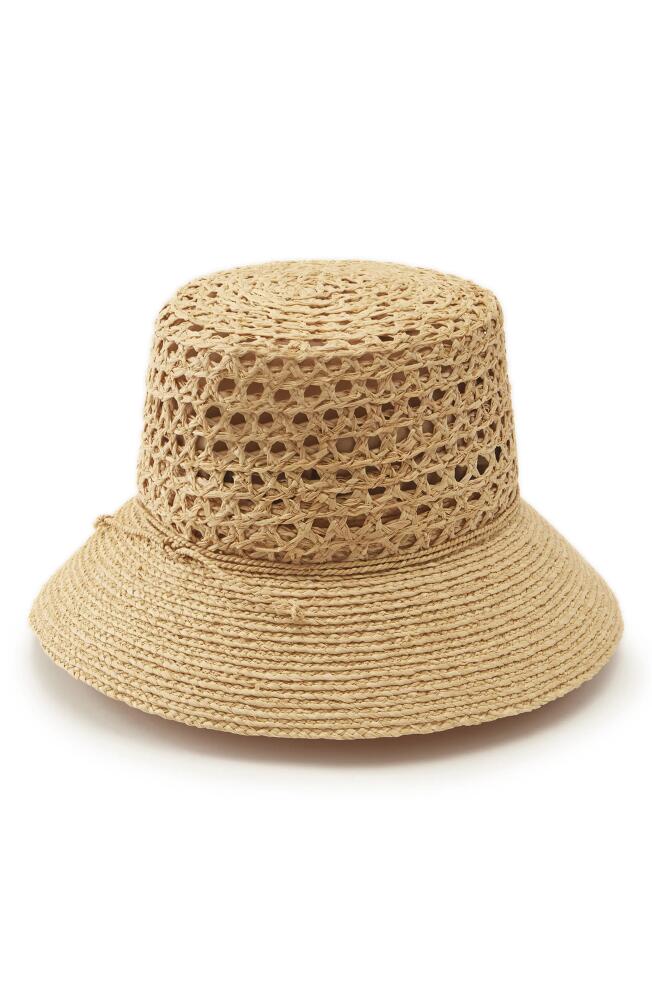 Helen Kaminski Zandar Raffia Bucket Hat in Natural/Natural Cover