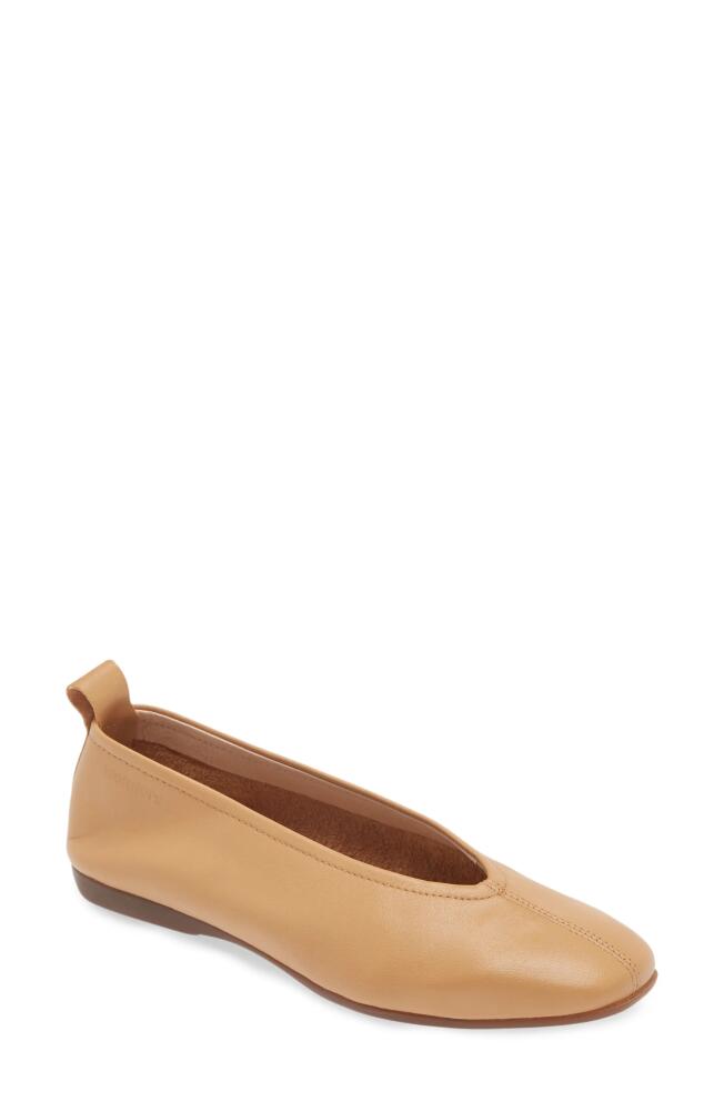 Wonders Ballet Flat in Sauvage Sand Cover