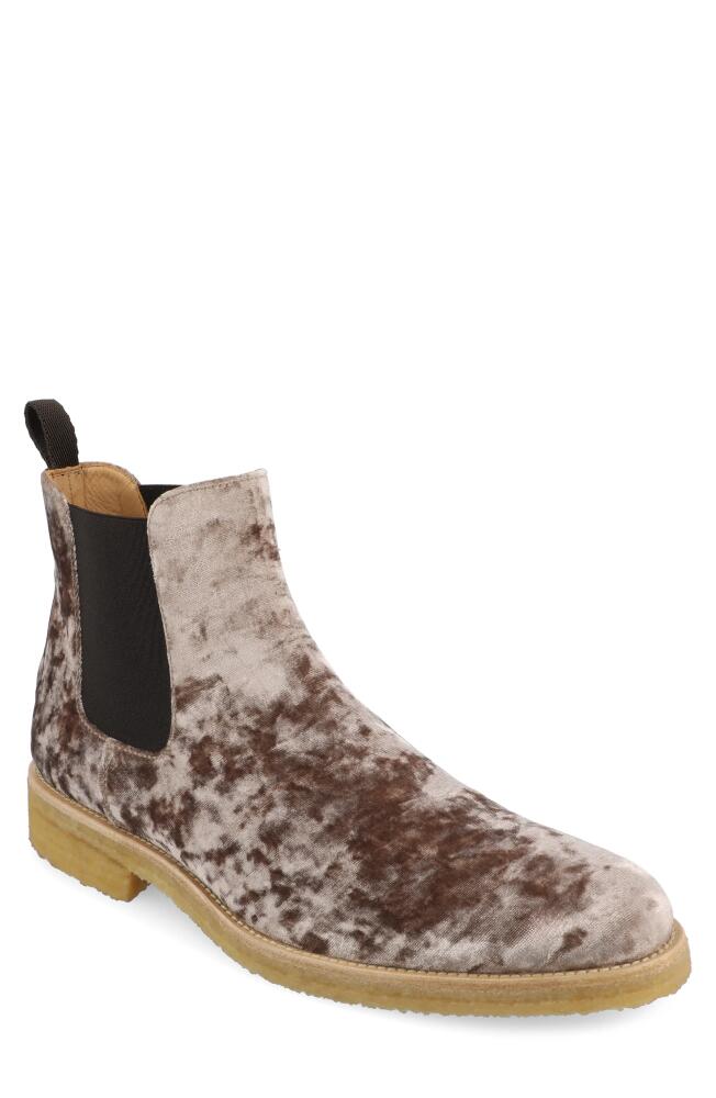 TAFT The Jude Chelsea Boot in Champagne Cover