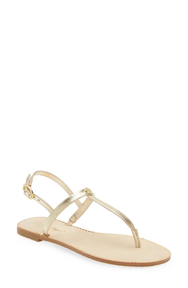 Lilly Pulitzer Rita T-Strap Sandal in Gold Metallic Cover