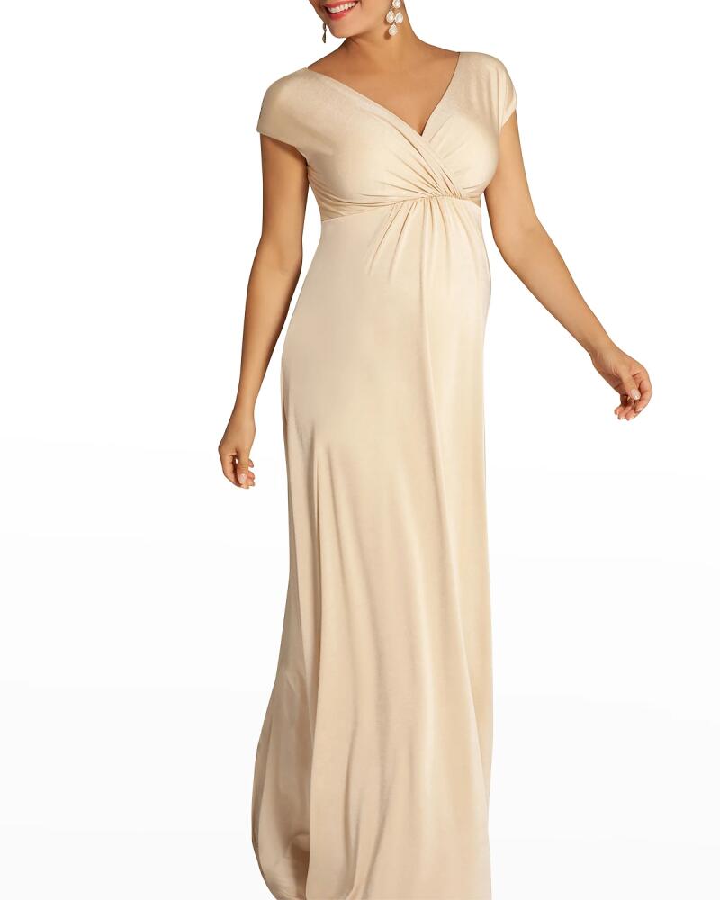 Tiffany Rose Maternity Francesca Maxi Dress Cover