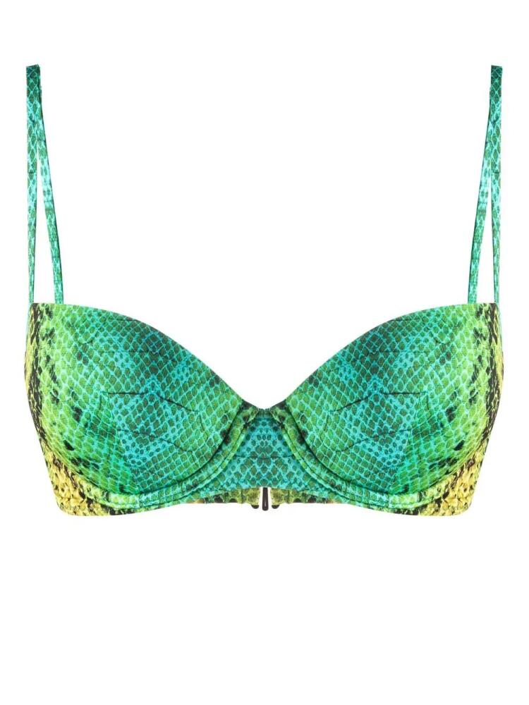 Noire Swimwear snakeskin-print bikini top - Green Cover