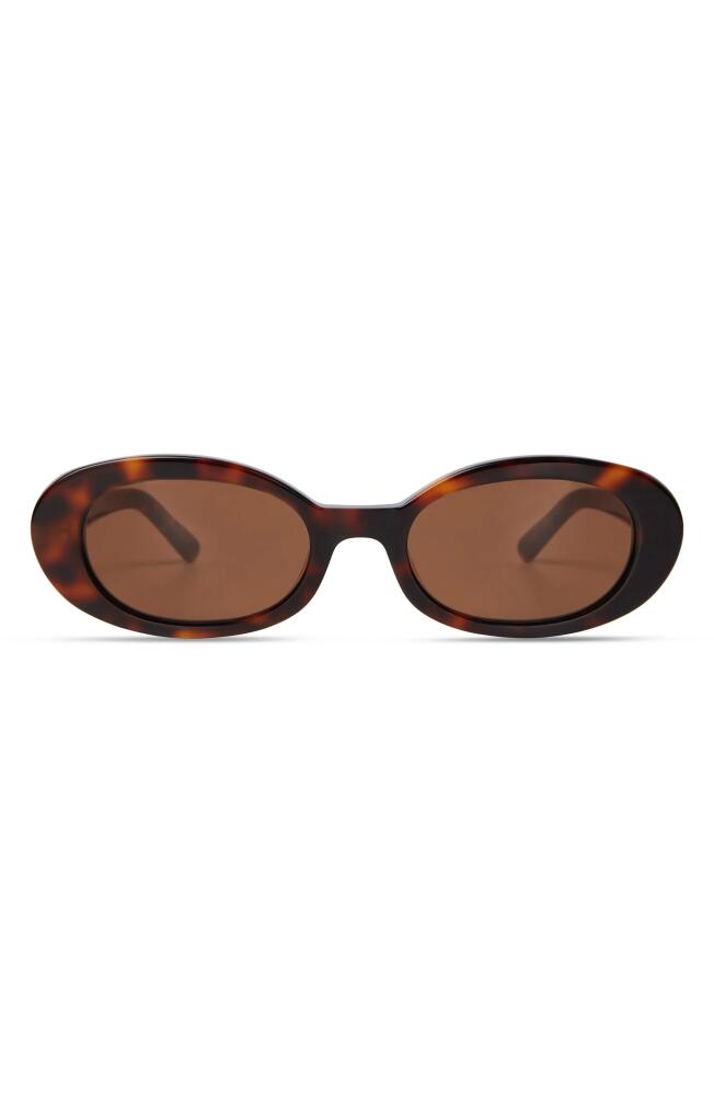 Elisa Johnson Lyric Leigh 52mm Oval Sunglasses in Brown Tortoise Cover