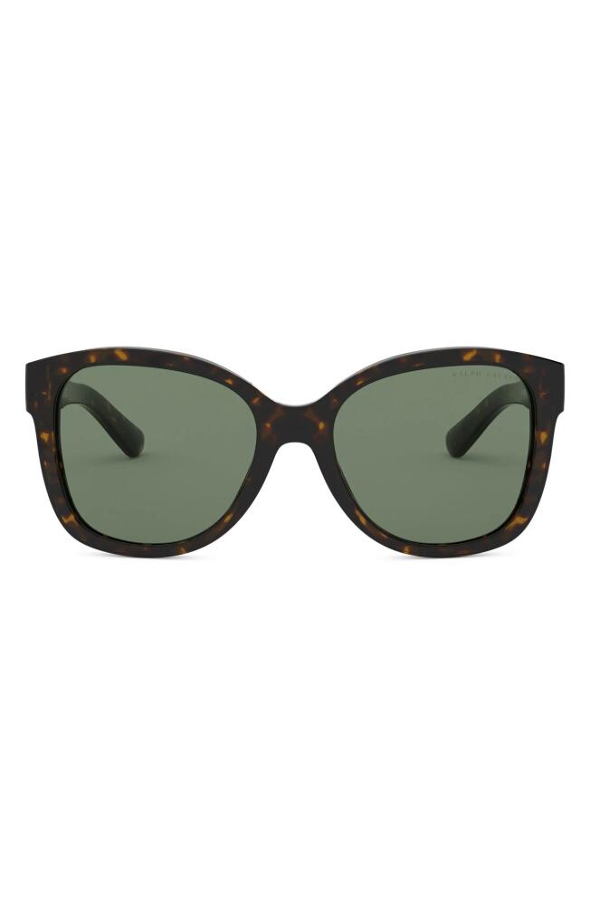 Ralph Lauren 54mm Square Sunglasses in Shiny Dark Havana/green Cover