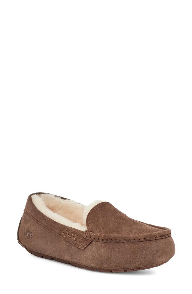 UGG(r) Ansley Water Resistant Slipper in Espresso Suede Cover