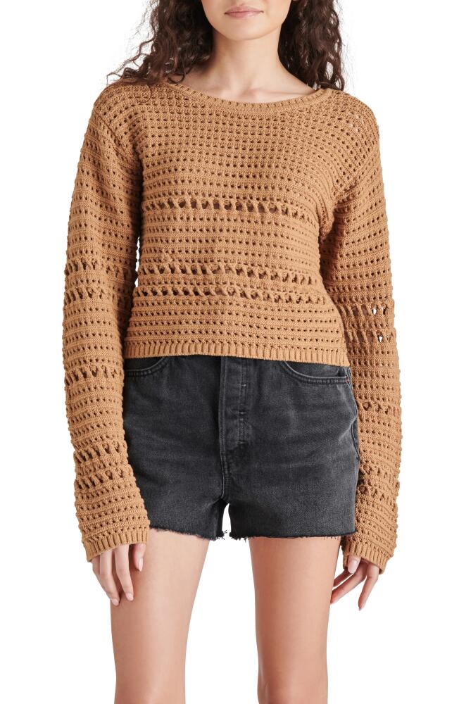 Steve Madden Delicia Open Stitch Cotton Sweater in Toast Cover