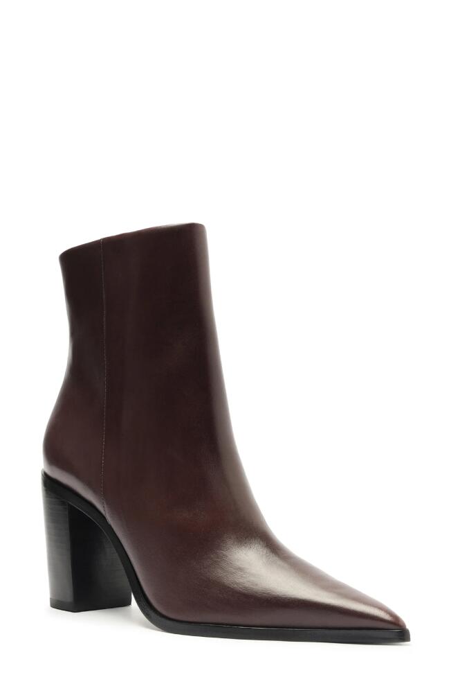 Schutz Mikki Pointed Toe Block Heel Bootie in Brown Cover