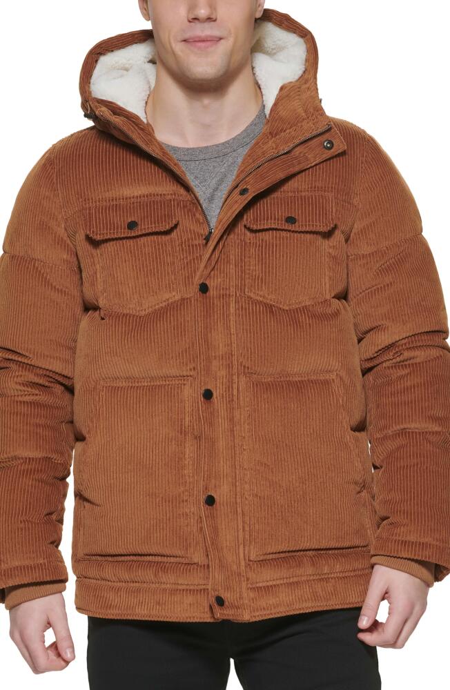 levi's Corduroy Puffer Coat in Brown Cover