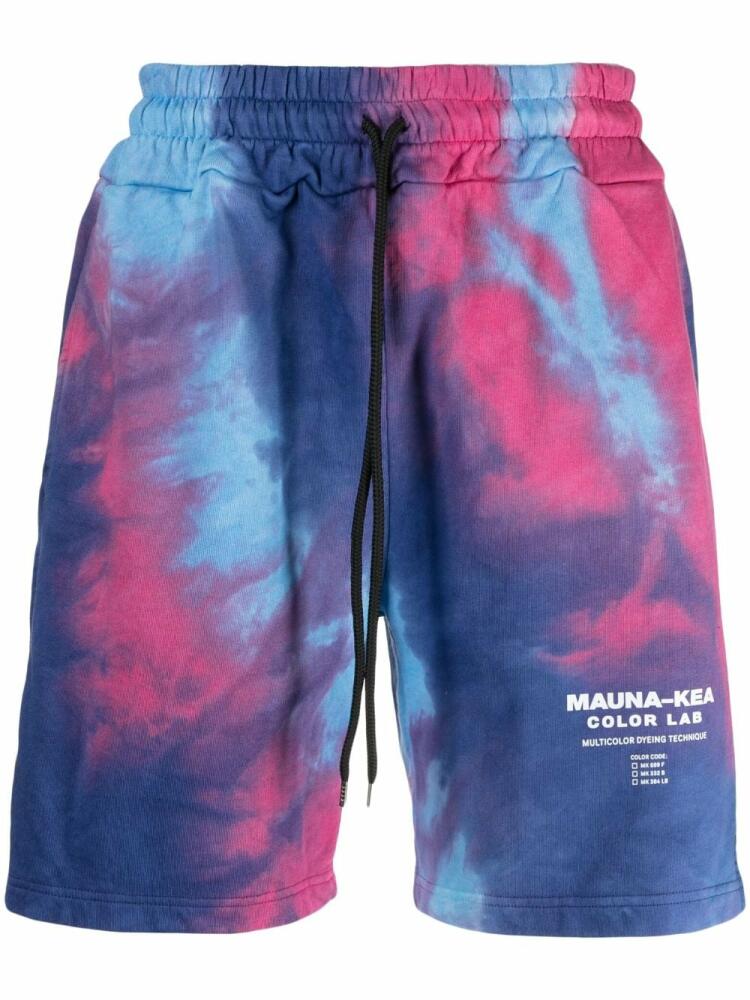 Mauna Kea graphic-print shorts - Purple Cover