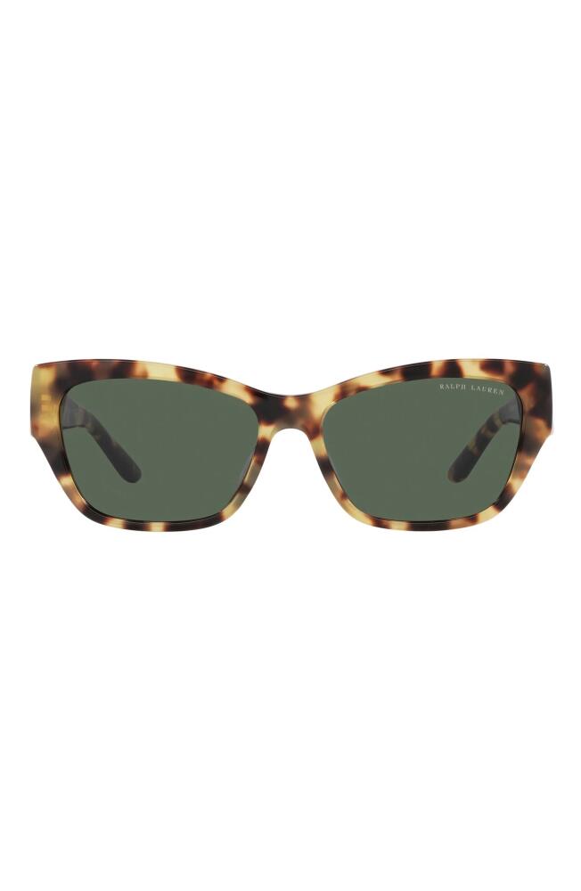 Ralph Lauren 57mm Cat Eye Sunglasses in Havana Cover