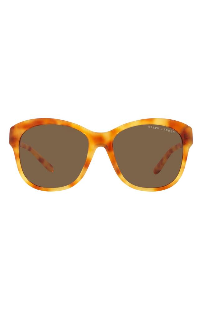 Ralph Lauren 55mm Square Sunglasses in Lite Havana Cover