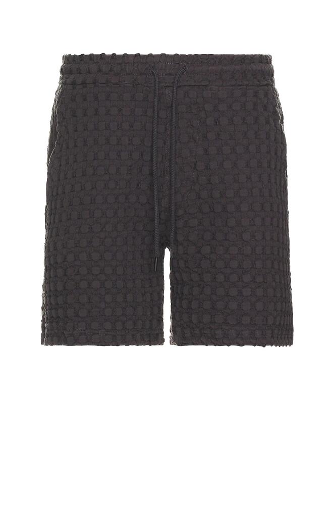 OAS Nearly Black Porto Waffle Shorts in Black Cover