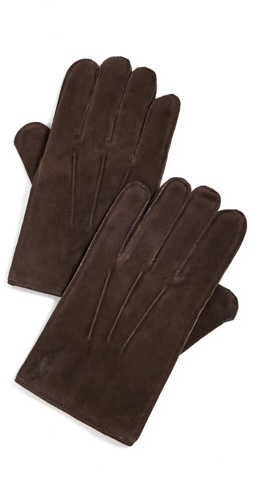 Polo Ralph Lauren Everyday Suede Gloves Dark Brown Cover