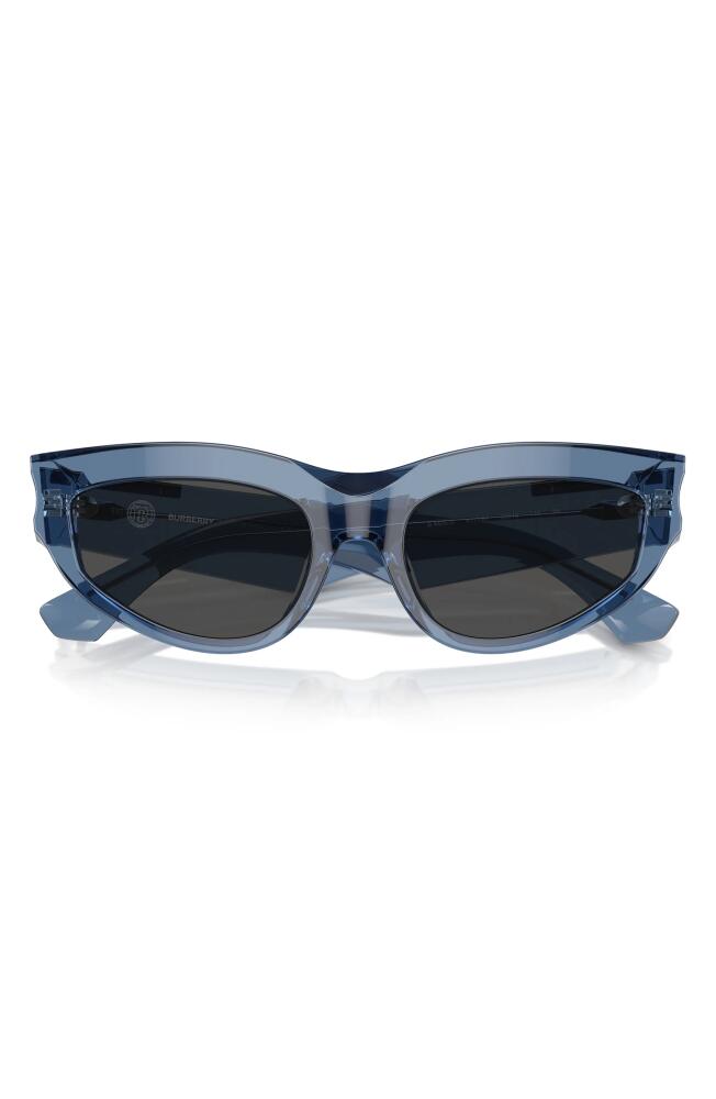 burberry 55mm Cat Eye Sunglasses in Blue Cover