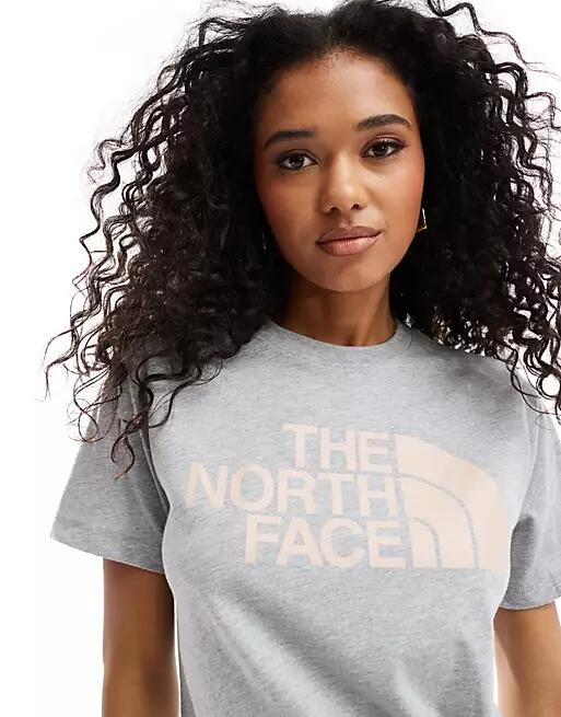 The North Face Half Dome T-shirt in light gray Cover