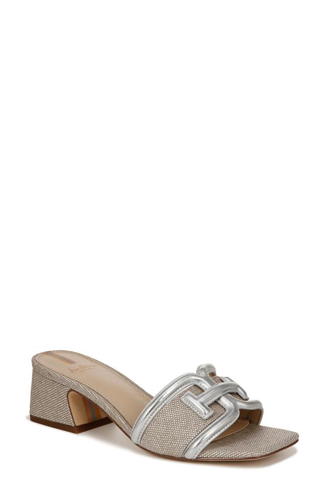 Sam Edelman Waylon Slide Sandal in Silver Cover