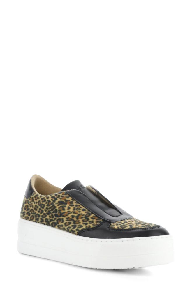 Bos. & Co. Magali Platform Slip-On Sneaker in Black/Camel Verona/F Cover