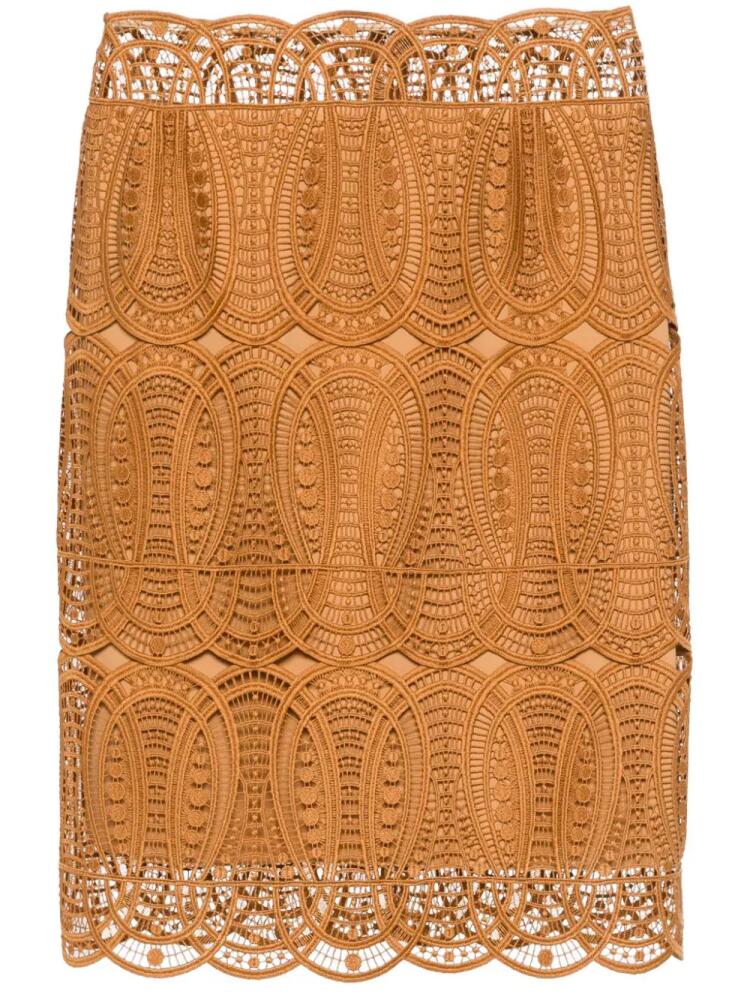 Alberta Ferretti openwork midi skirt - Brown Cover