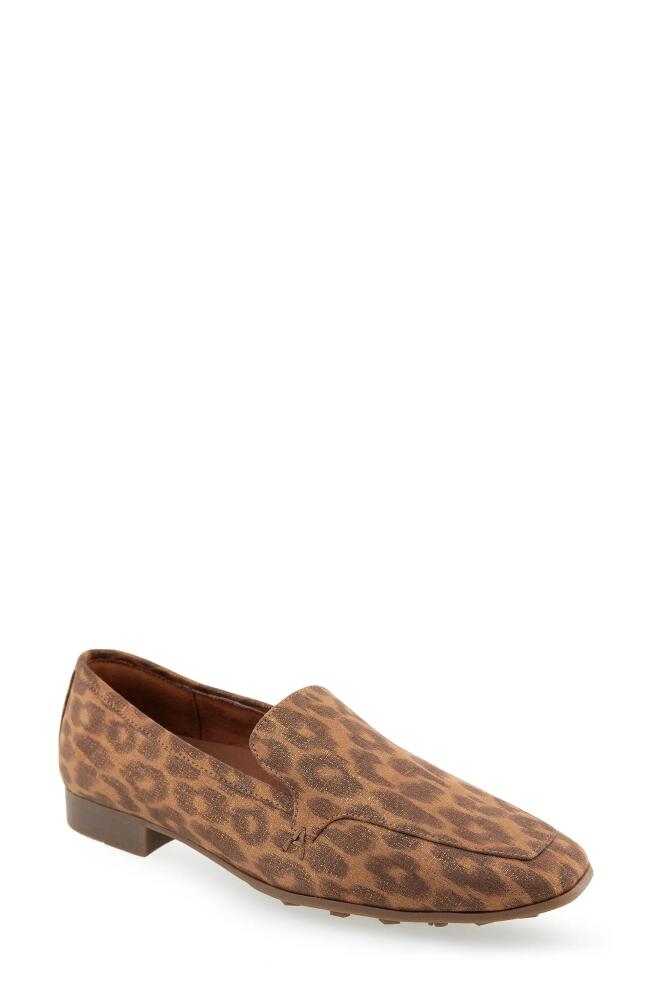 Aerosoles Paynes Loafer in Leopard Metallic Fabric Cover