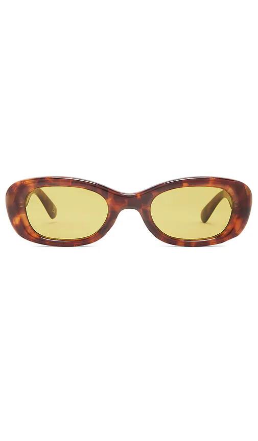 AIRE Calisto Sunglasses in Brown Cover