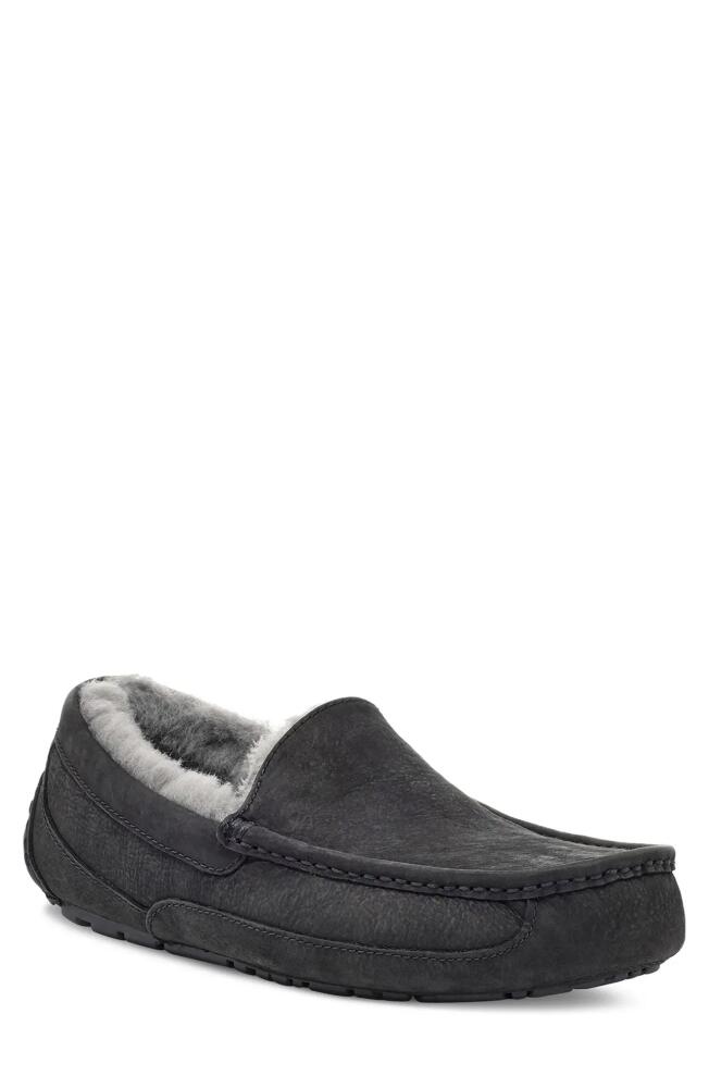 UGG(r) Ascot Leather Slipper in Black/Black Cover