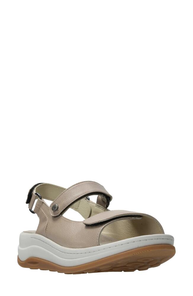 Wolky Adura Slingback Platform Sandal in Beige Biocare Cover