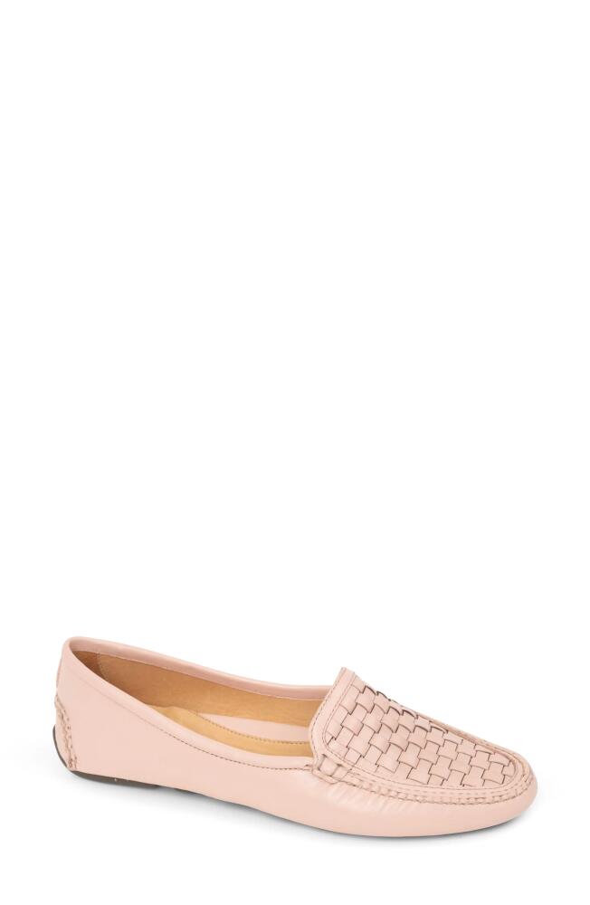 patricia green Kelly Woven Driving Loafer in Nude Cover