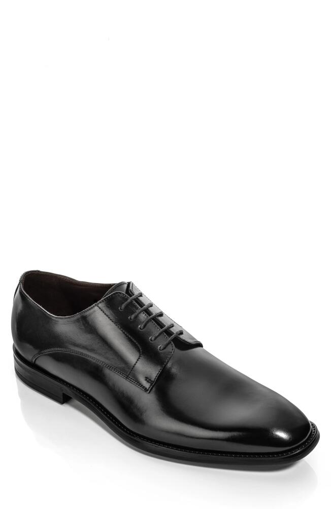 TO BOOT NEW YORK Amedeo Derby in Black Cover