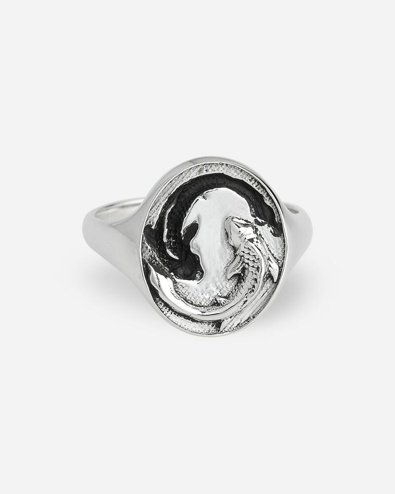 J.Crew TALON JEWELRY zodiac signet ring Cover