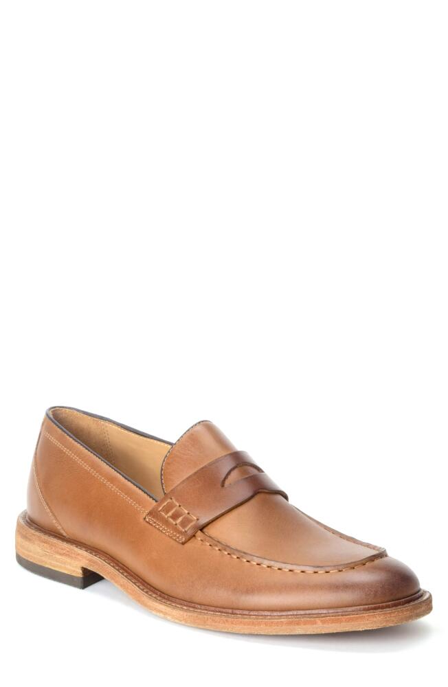 Warfield & Grand Diggs Penny Loafer in Cognac Cover