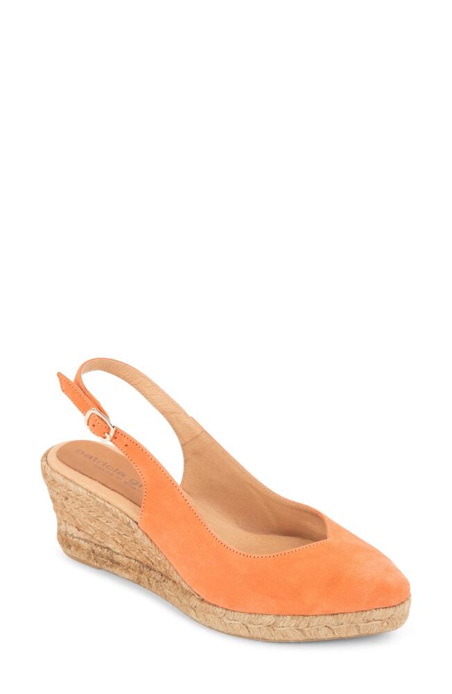 patricia green Poppy Slingback Espadrille Wedge in Coral Cover