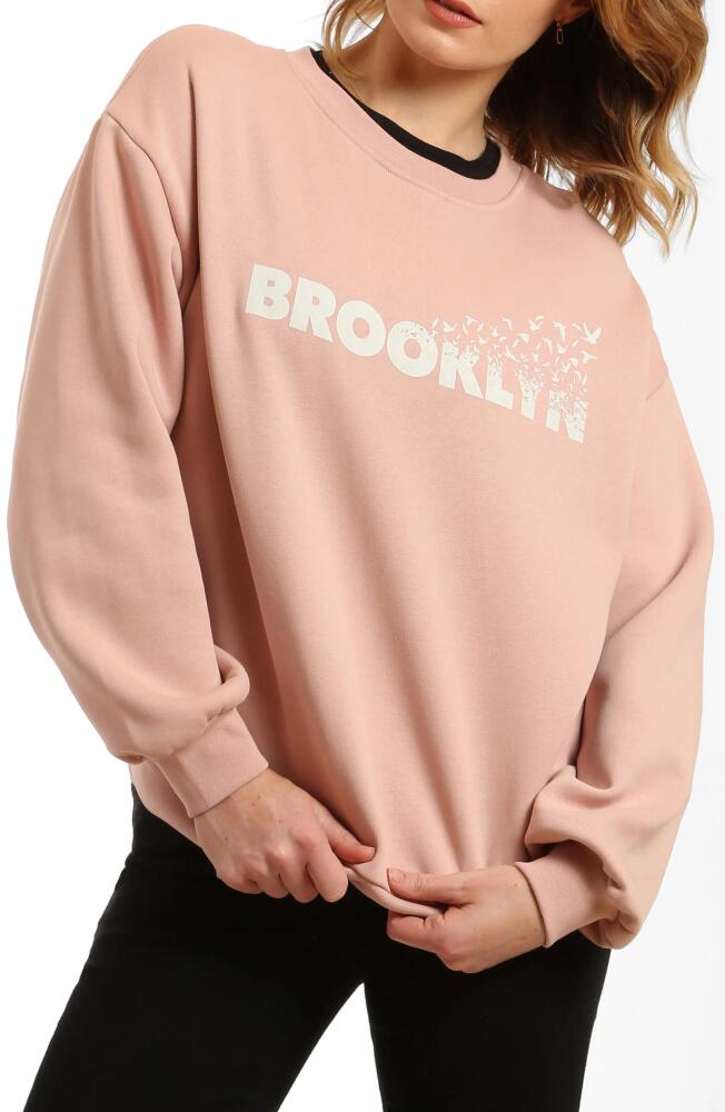 Brooklyn Industries Flight Logo Graphic Sweatshirt in Pale Mauve Cover