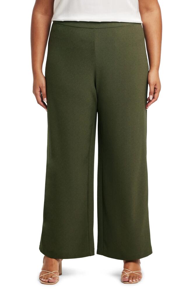 Estelle Night Life High Waist Wide Leg Pants in Olive Cover