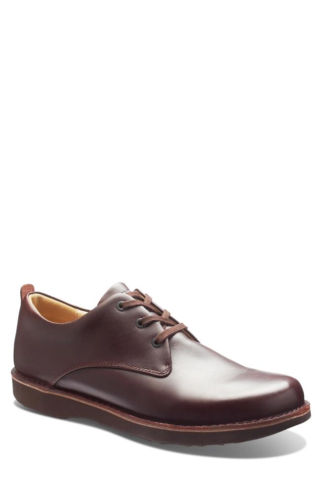 Samuel Hubbard Free Plain Toe Derby in Cordovan Leather Cover