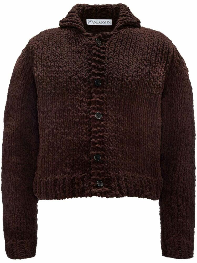 JW Anderson chunky-knit cardigan - Brown Cover