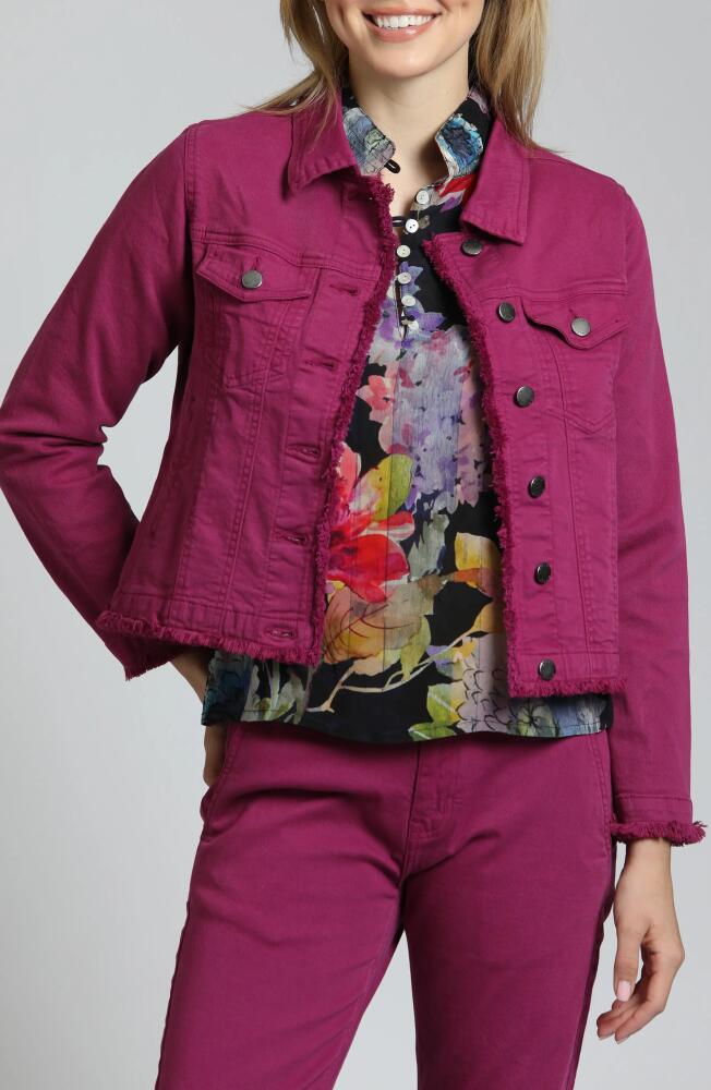 APNY Frayed Denim Jacket in Bordeaux Cover