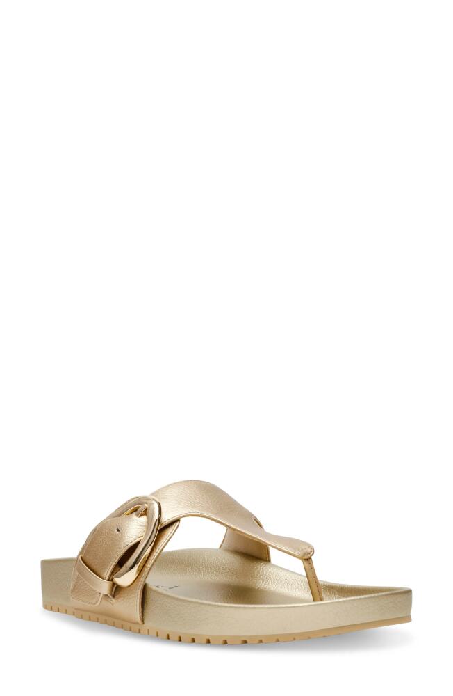 Anne Klein Dainty Flip Flop in Gold Cover