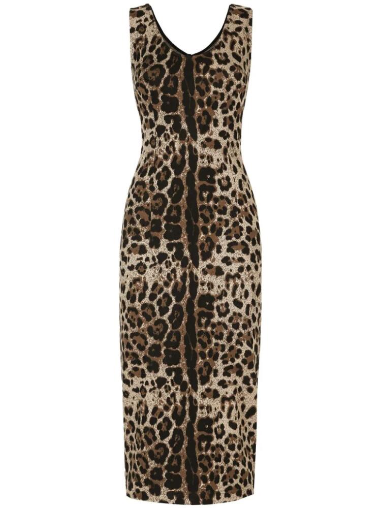 Dolce & Gabbana leopard-print sleeveless dress - Brown Cover