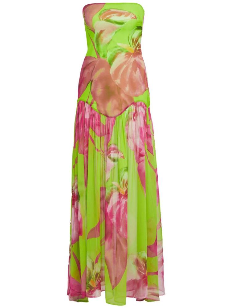 Retrofete Marisol floral-print silk maxi dress - Green Cover