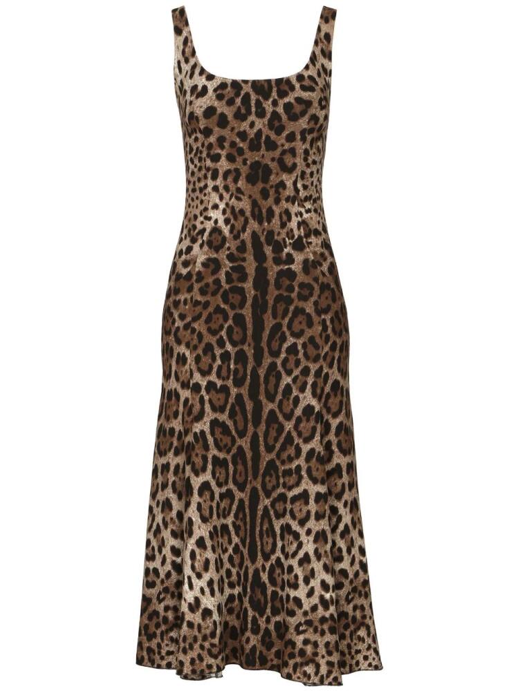 Dolce & Gabbana leopard-print midi dress - Brown Cover