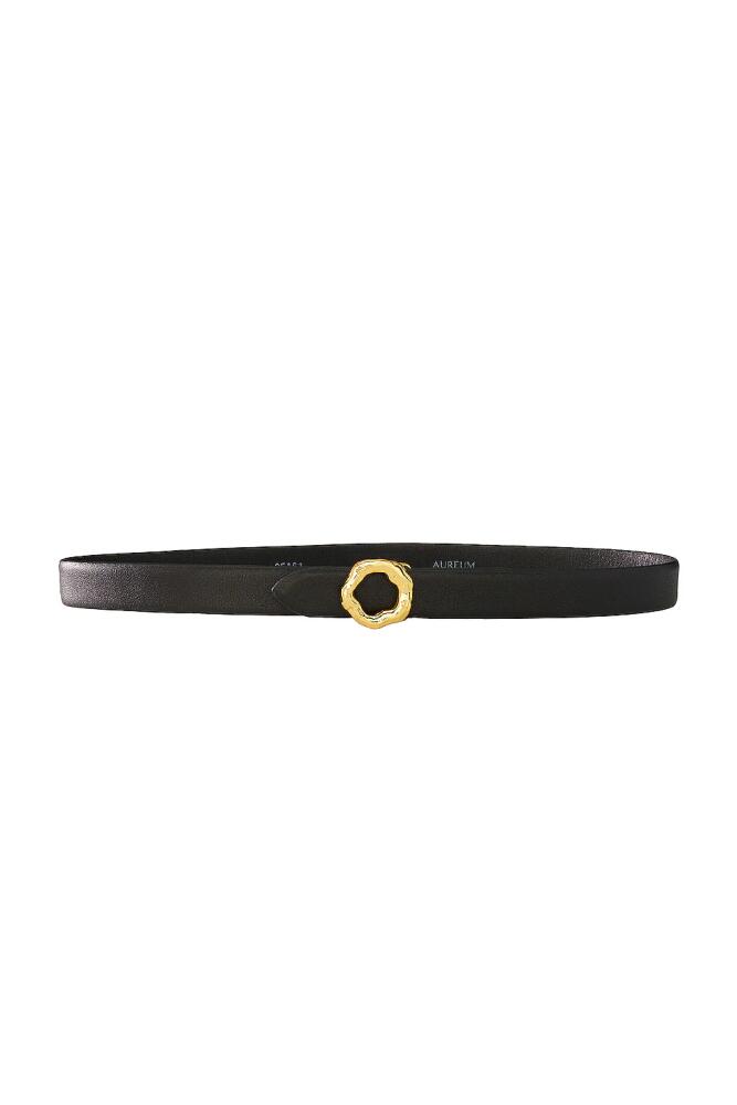 AUREUM Black & Gold Motif Belt in Black Cover