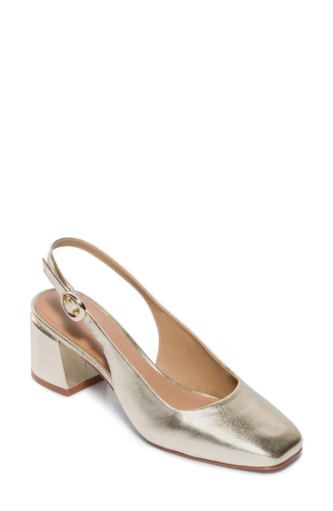 Bernardo Alexia Slingback Pump in Champagne Cover