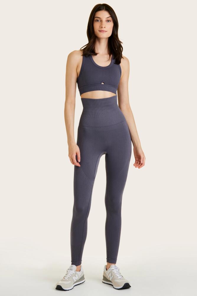 ALALA Barre Super Hi Rise Legging in Greystone Cover