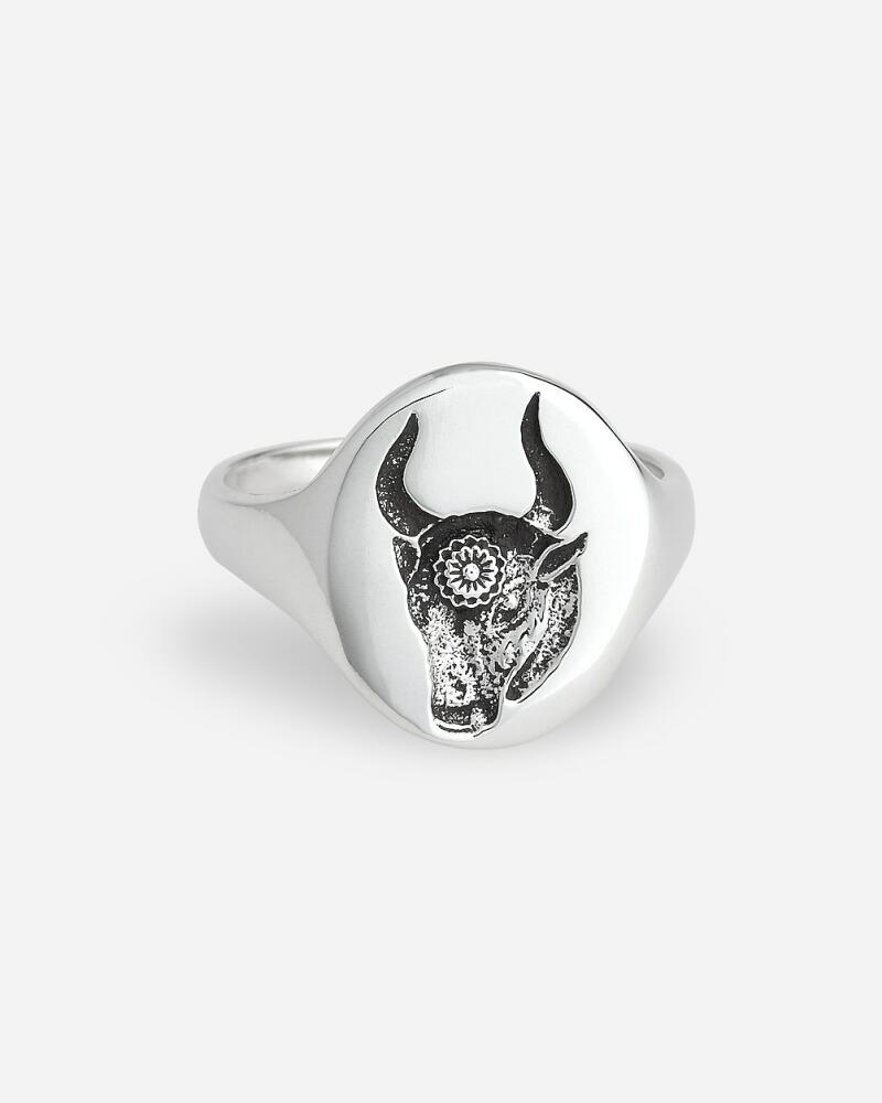 J.Crew TALON JEWELRY zodiac signet ring Cover