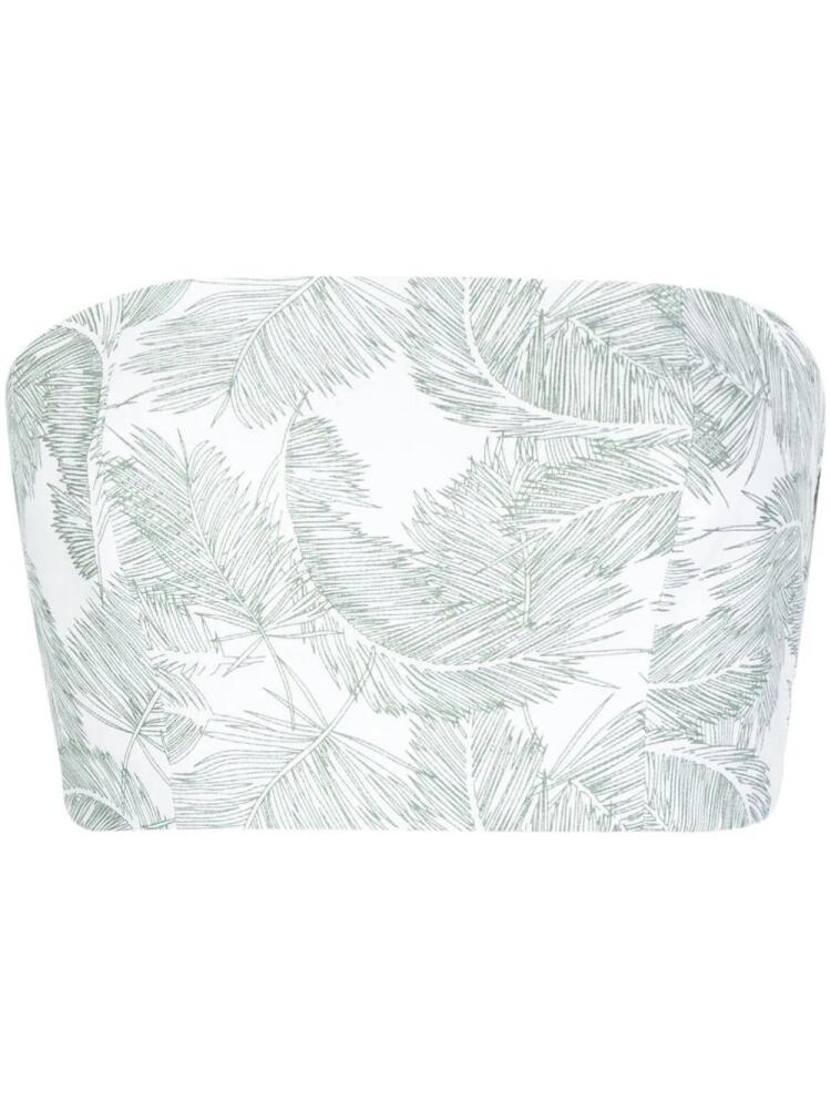 Bambah palm leaf-print bustier top - Green Cover