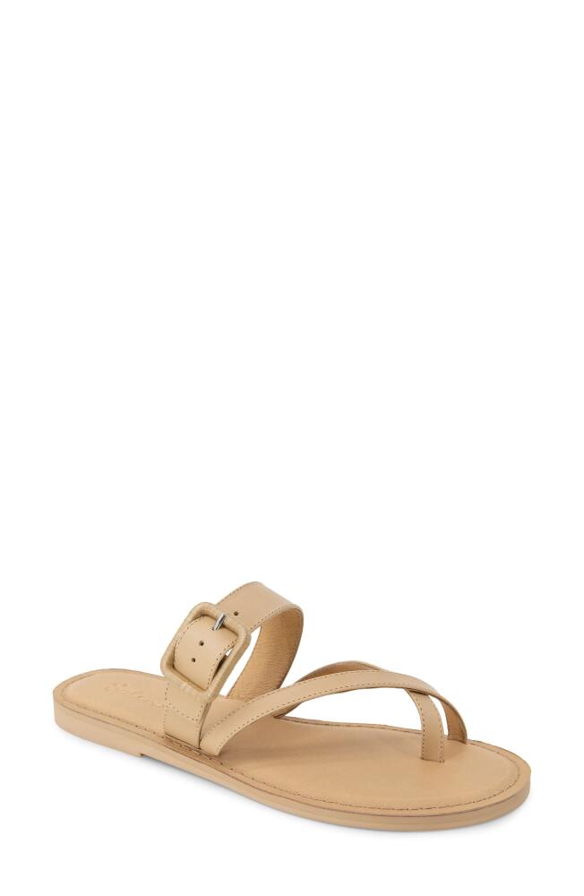 Splendid Sutton Toe Loop Sandal in Light Almond Cover