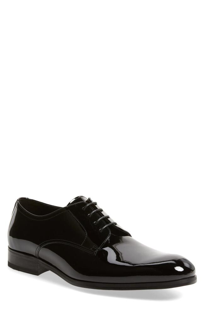 TO BOOT NEW YORK Aalborg Plain Toe Derby in Black Leather Cover